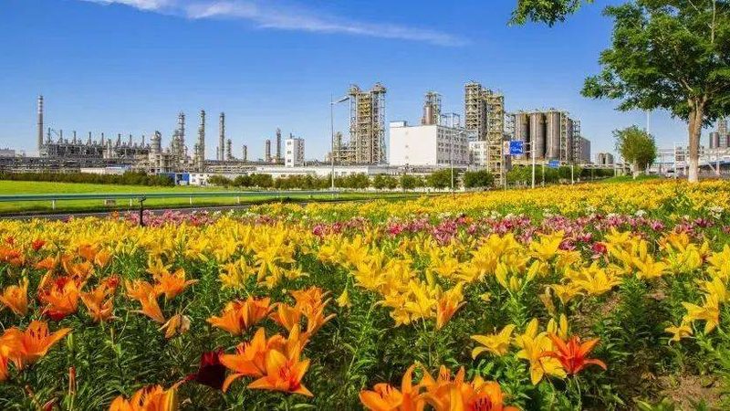 涂料精细化工产品：揭秘其与普通化工产品的五大差异