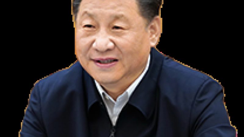 精细化工产品分类编码：解码复杂世界的一把钥匙